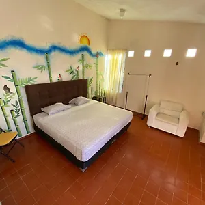 Casa Bugambilias Maison d'hôtes