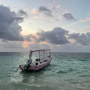 Home's Jungle Puerto Morelos 20 Minutes From The Airport Maison d'hôtes