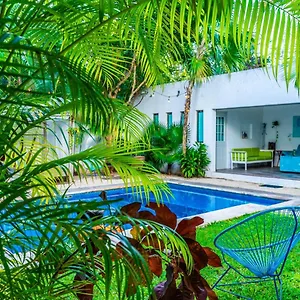 Casa Borush By Ecoplaneta Maison d'hôtes